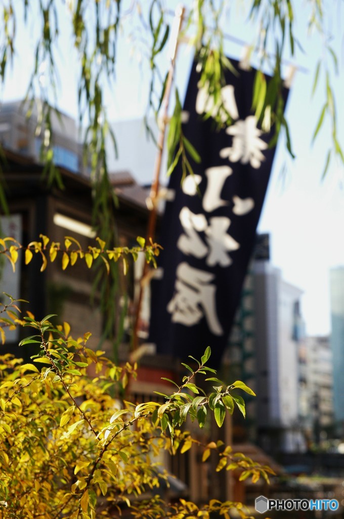 ちょいとおいでよ浅草橋Ⅴ