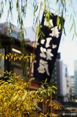 ちょいとおいでよ浅草橋Ⅴ