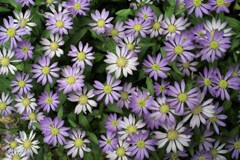 そろそろ終わりかな…