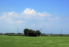 遠くに夏の雲