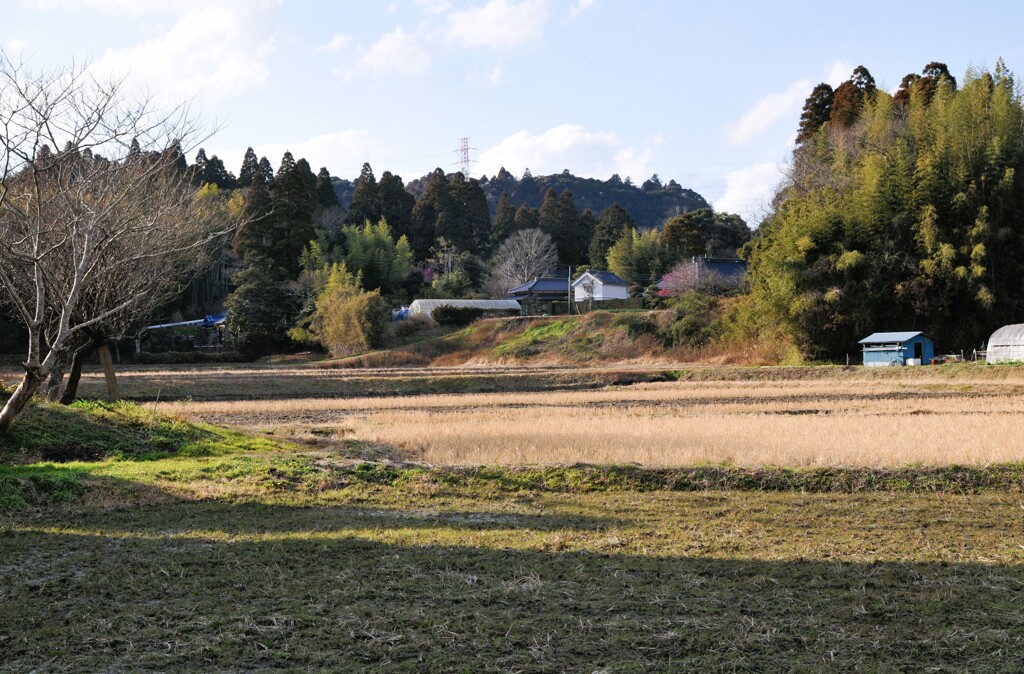 里山冬景色