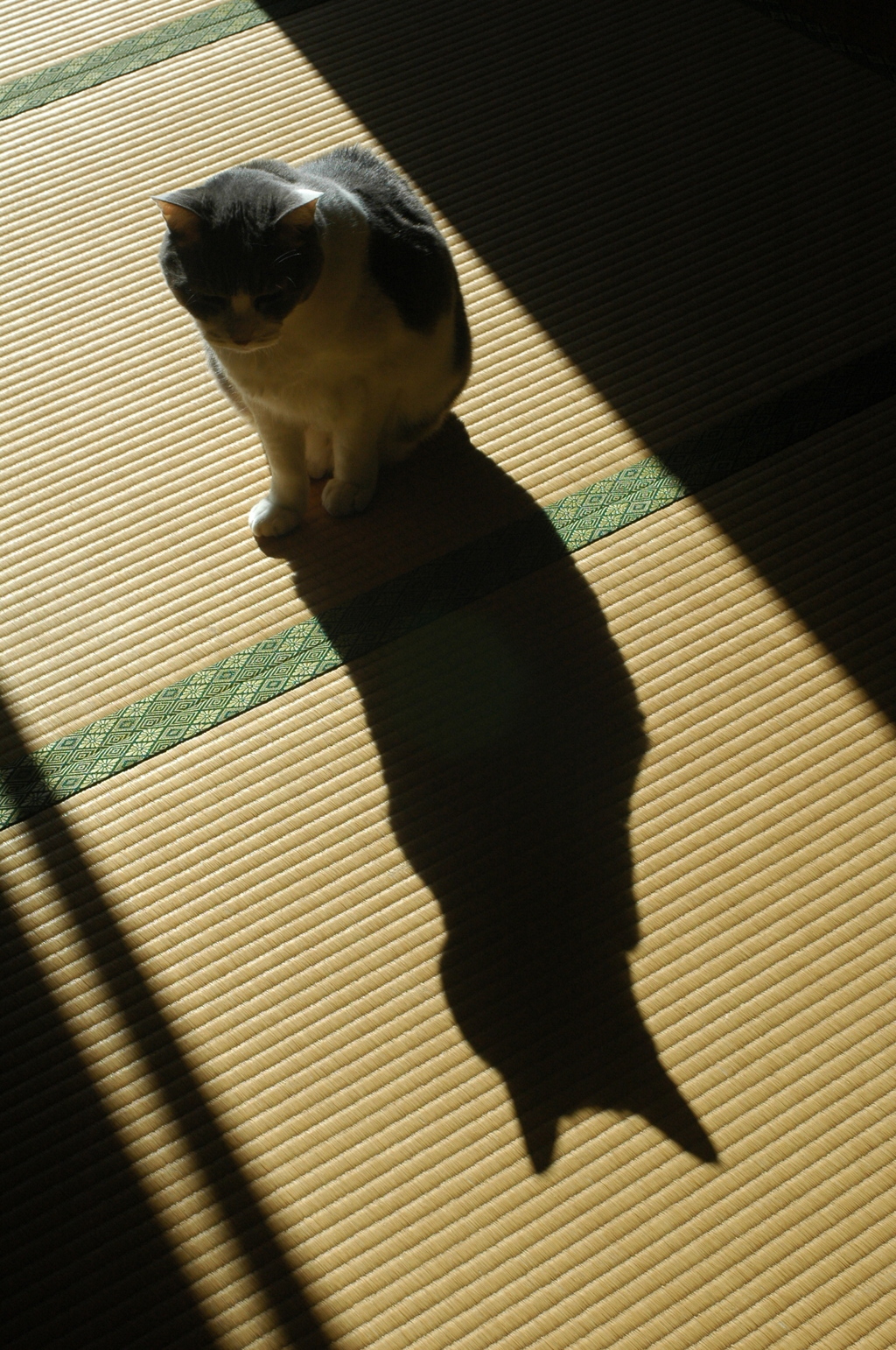 知ってた？今日は君の日だよ^^