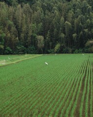 里山に暮らす