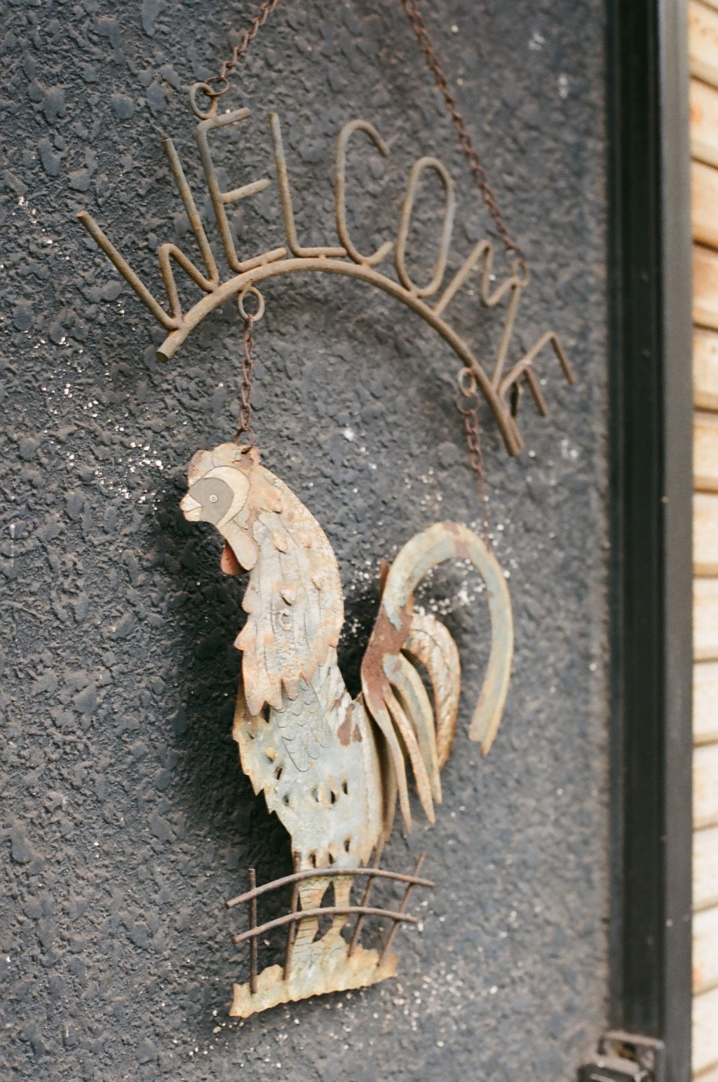 フィルム 街ブラ