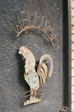 フィルム 街ブラ