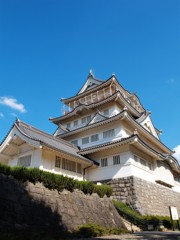 千葉市立郷土博物館