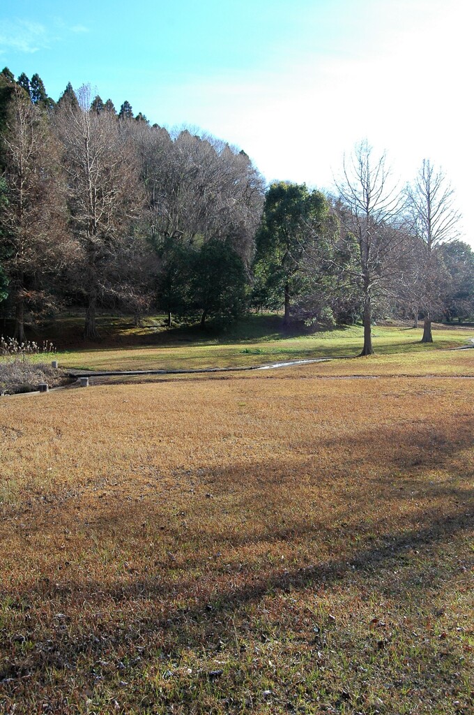 冬の散歩道