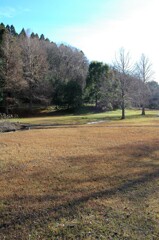 冬の散歩道