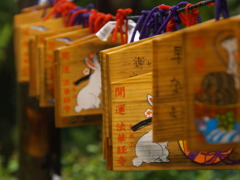 雨の法華経寺にて