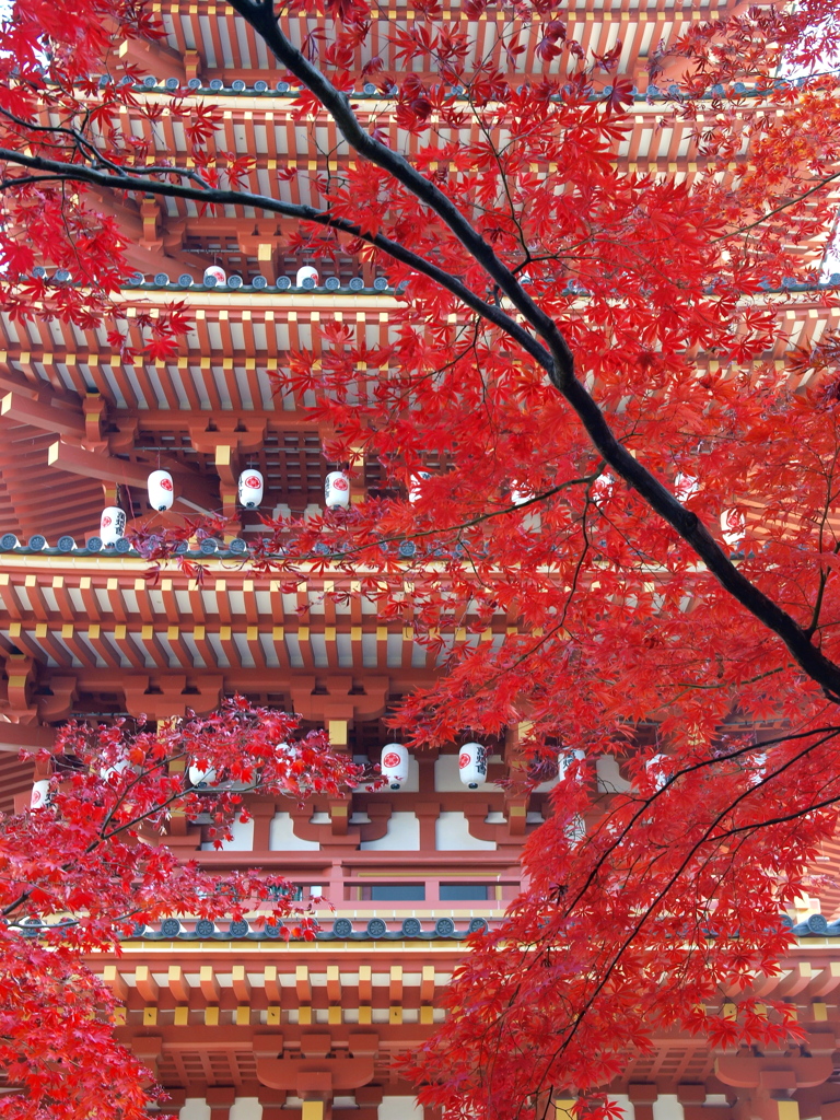 高幡不動尊にてⅠ