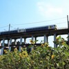 外房線の夏