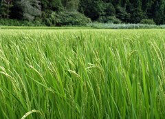 少しずつ少しずつ