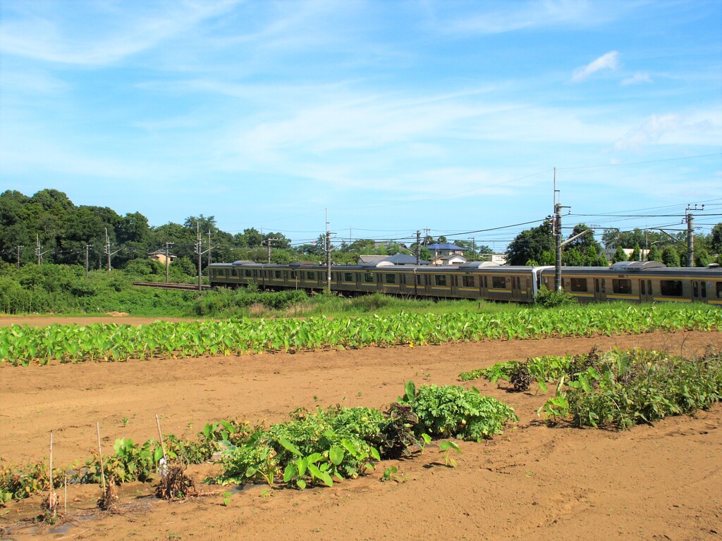 外房線が行く