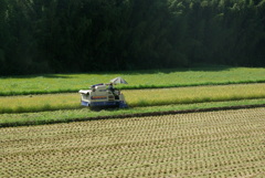 日除け対策で稲刈り作業