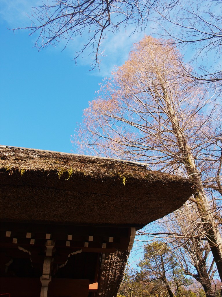 深大寺の空