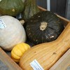 かぼちゃ各種