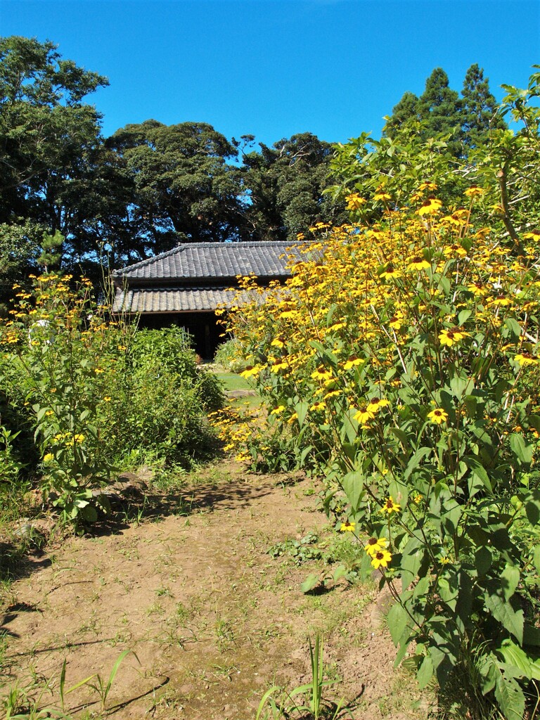 盆帰り