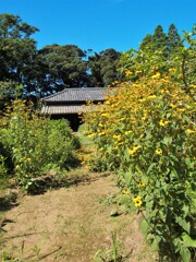 盆帰り