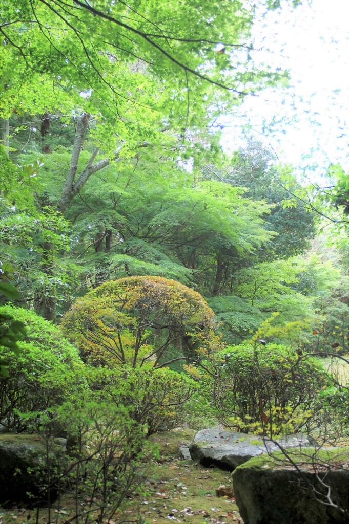 ふるさと村散歩