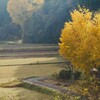 長閑な晩秋の午後
