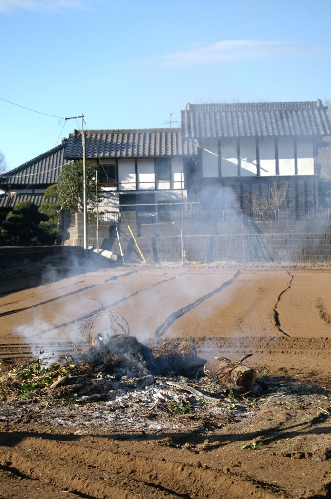 里山初冬