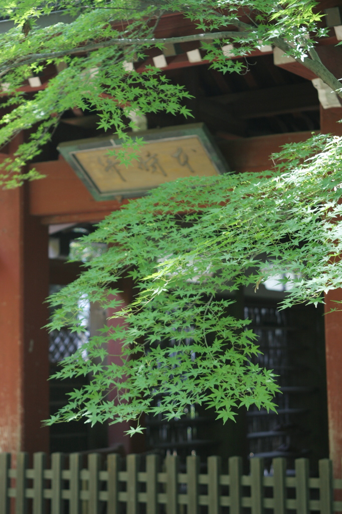 水無月　本土寺Ⅰ
