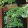 水無月　本土寺Ⅰ