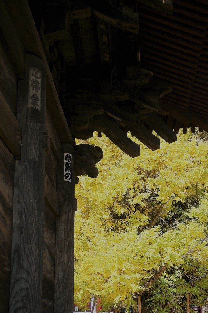 千葉寺にて