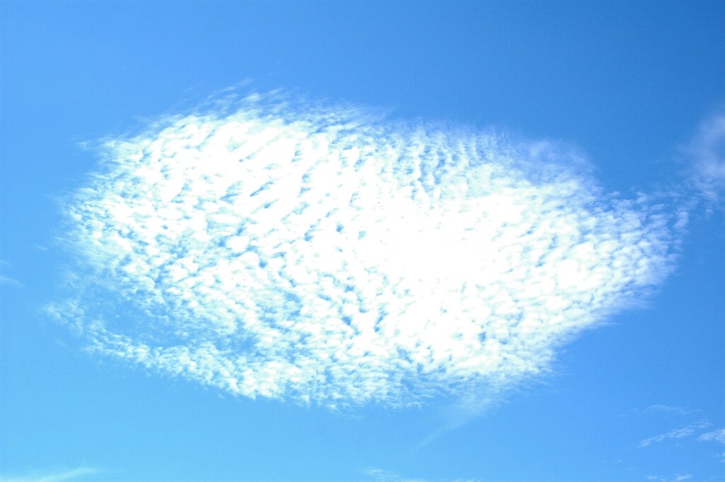 晴れた土曜日