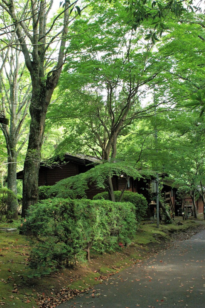 コテージの小径