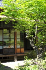 梅雨入り前の晴天
