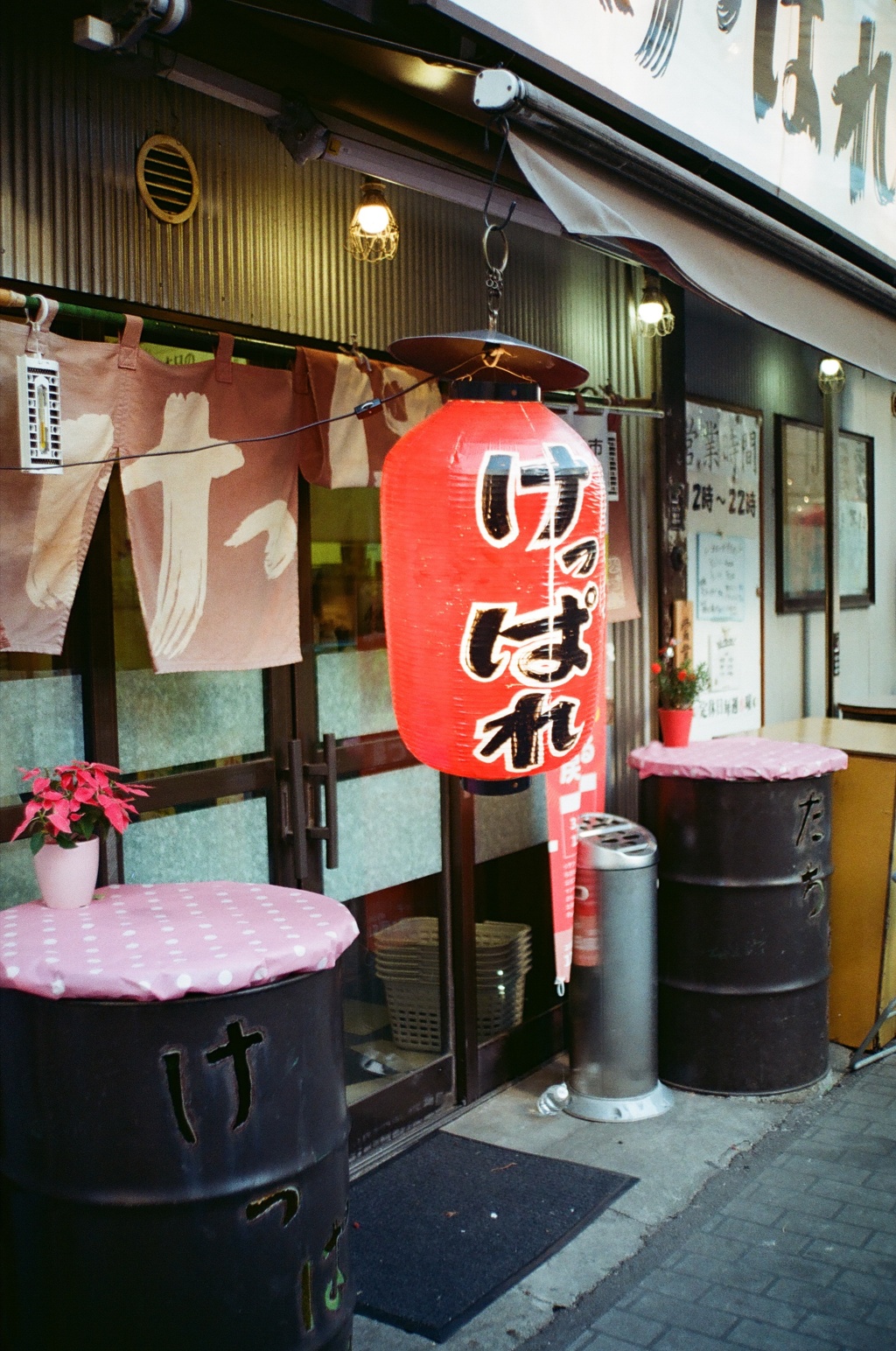 アルファ日和