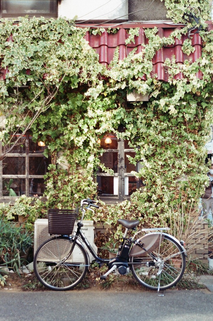 きっと行きつけの店(フィルム)