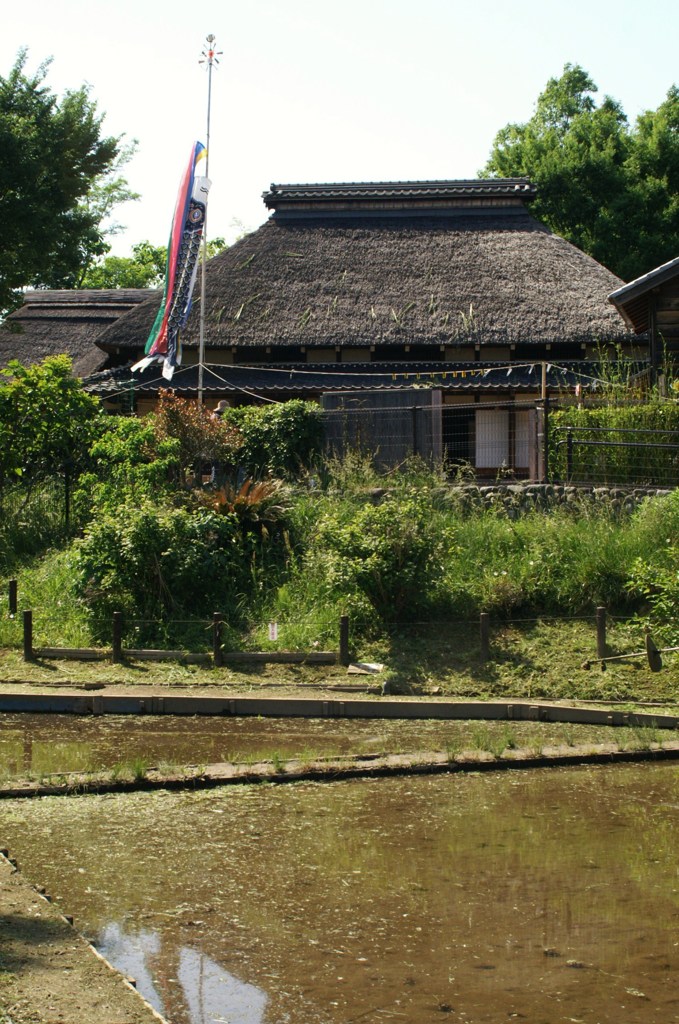 北区の里山