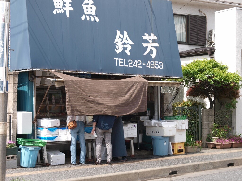 今晩どの魚にしようかな…