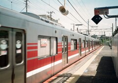 デミと街中散歩(フイルム)