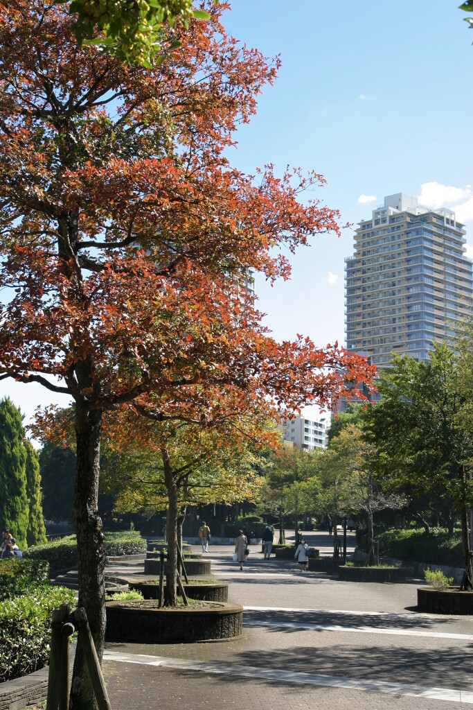 幕張ベイタウン