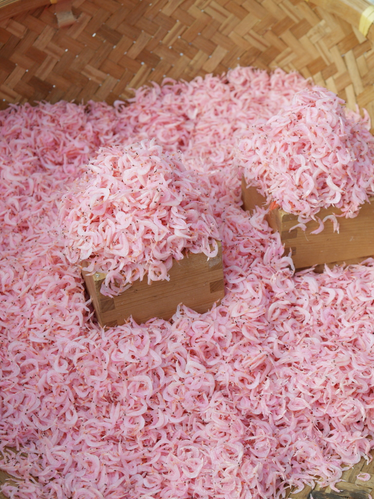 桜色
