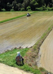 父ちゃん、しっかり頼んだよ！