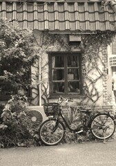 蔦が絡まる喫茶店