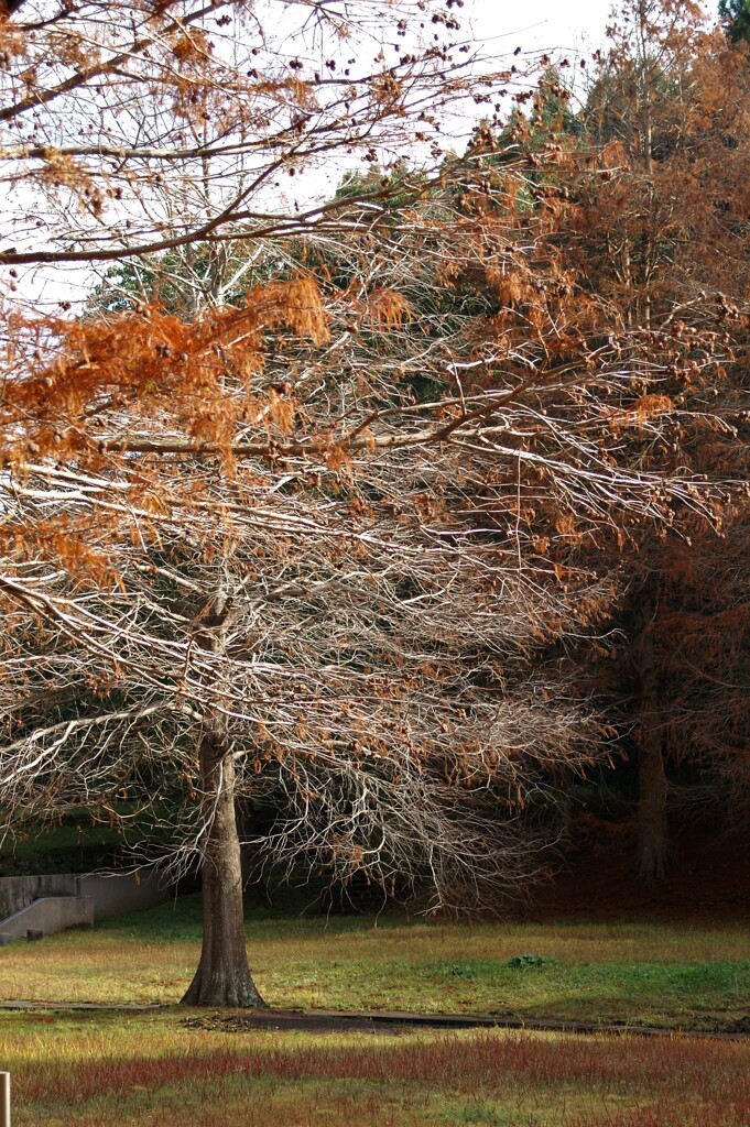 静寂につつまれて…