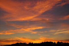 がんばろう 千葉