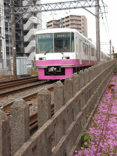 千葉中央へ