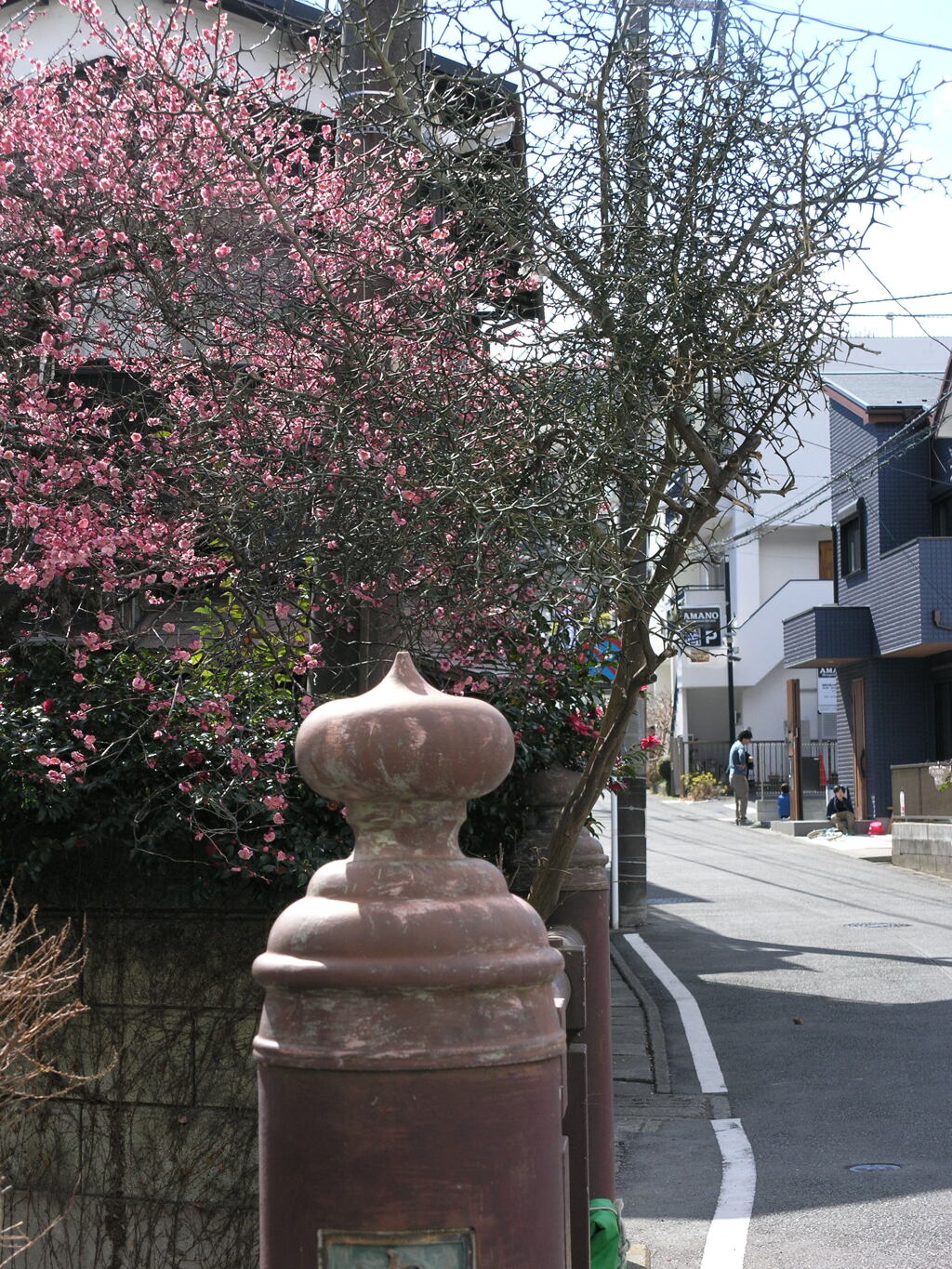 駅までの道すがら