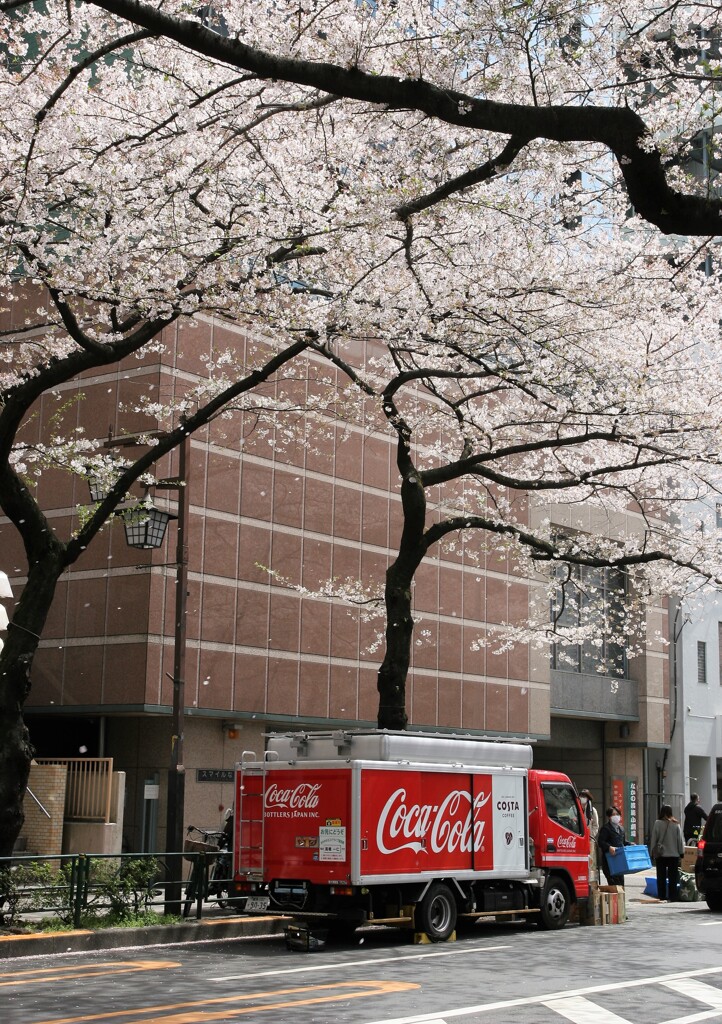 街の景色・日常