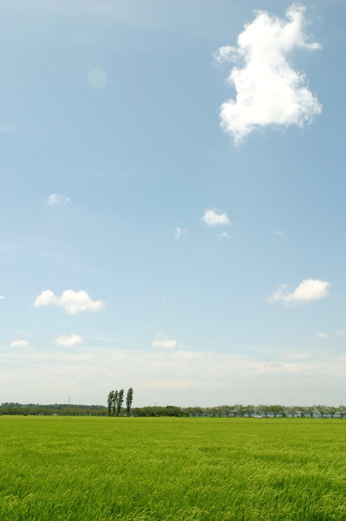 夏休みの空