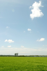夏休みの空