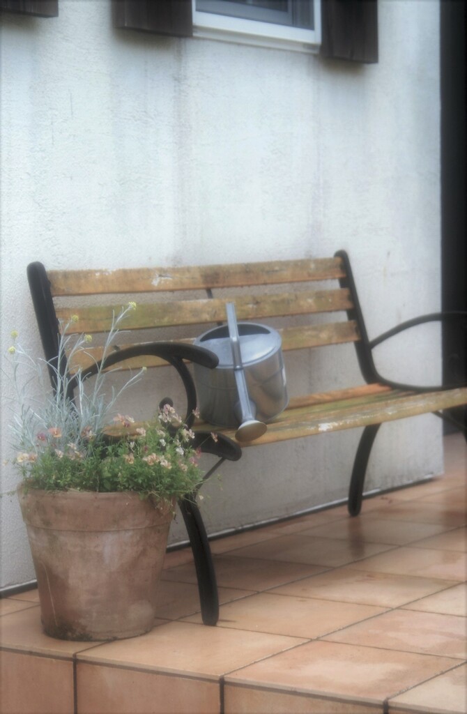 ジャンクレンズを楽しむ