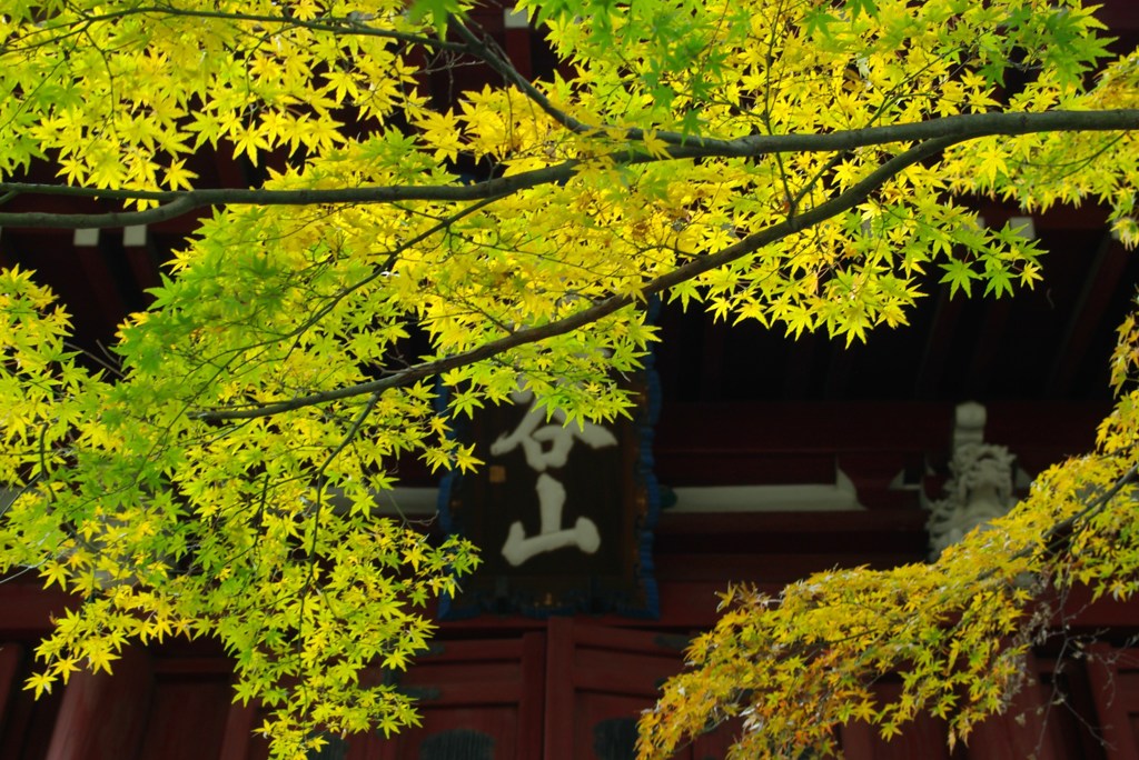 晩秋の古寺3