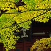晩秋の古寺3
